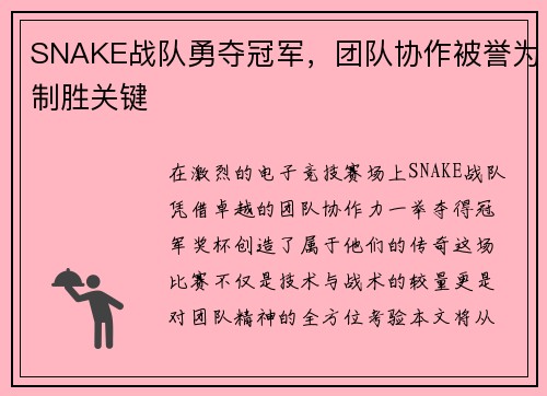 SNAKE战队勇夺冠军，团队协作被誉为制胜关键